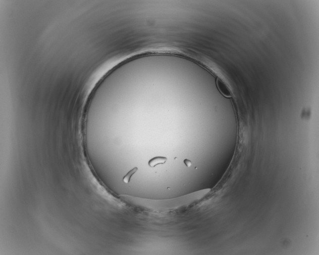 X0000111390959200907241331