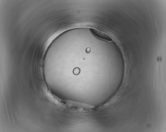 X0000111390960200907241331