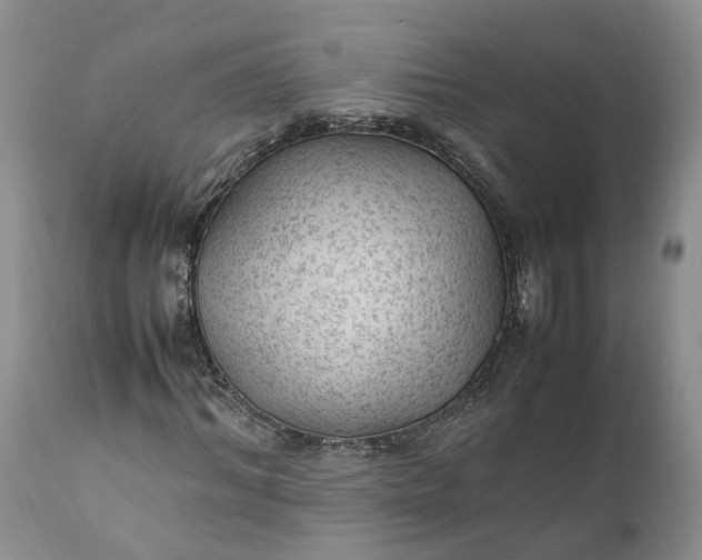 X0000111390964200907241330