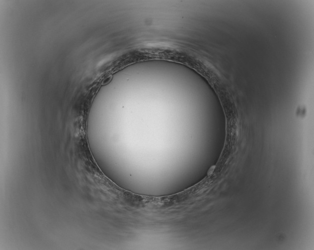 X0000111390965200907241330