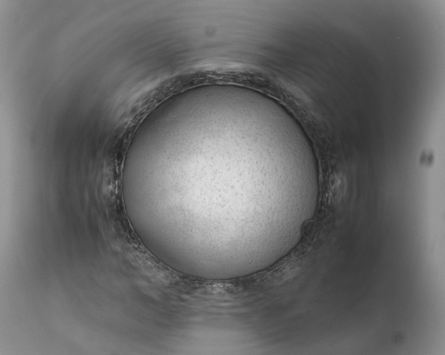 X0000111390966200907241330