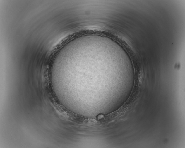 X0000111390968200907241330