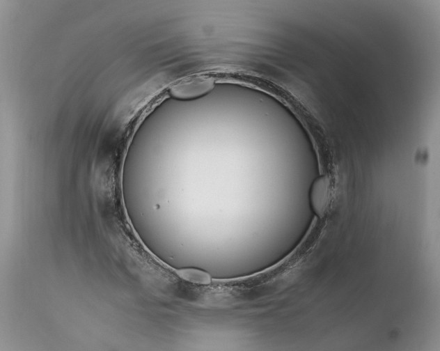 X0000111390969200907241330