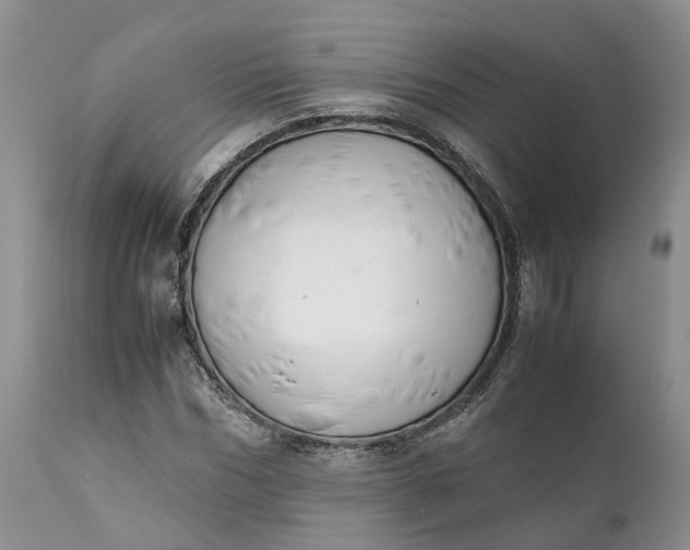 X0000111390970200907241330