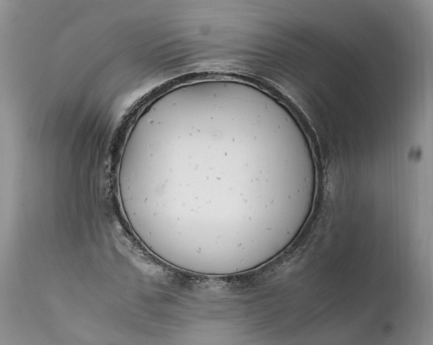 X0000111390971200907241330