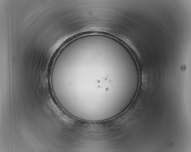 X0000111390972200907241330