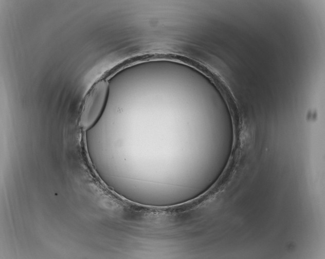 X0000111390973200907241330