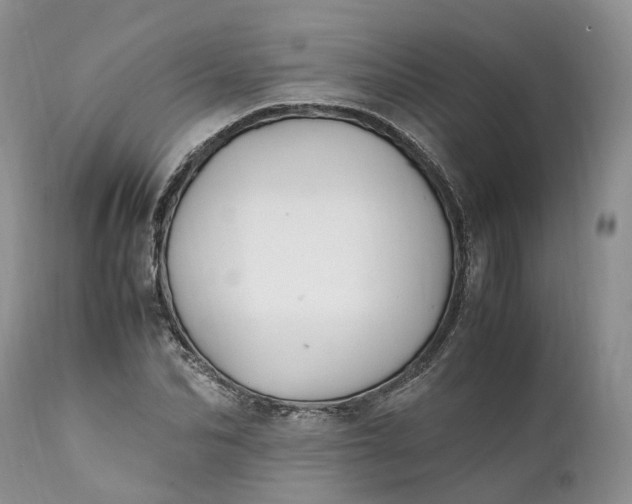 X0000111390974200907241330