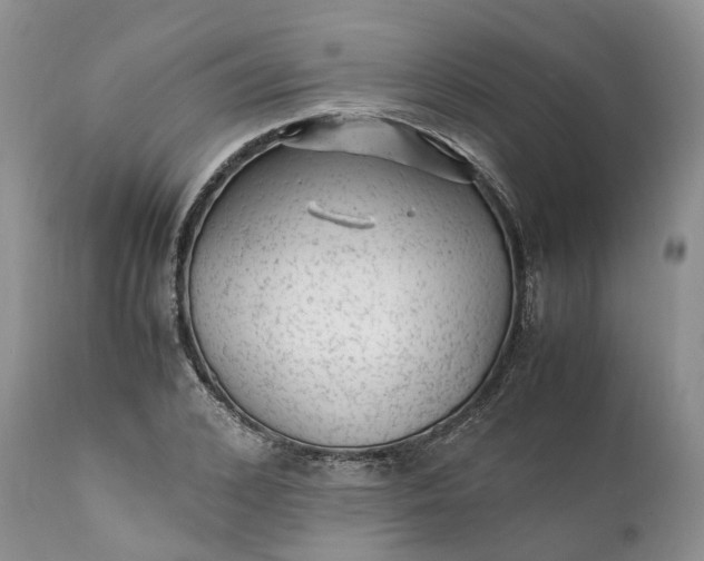 X0000111390976200907241330