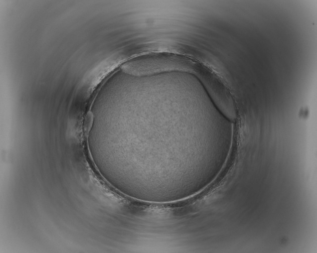 X0000111390977200907241330