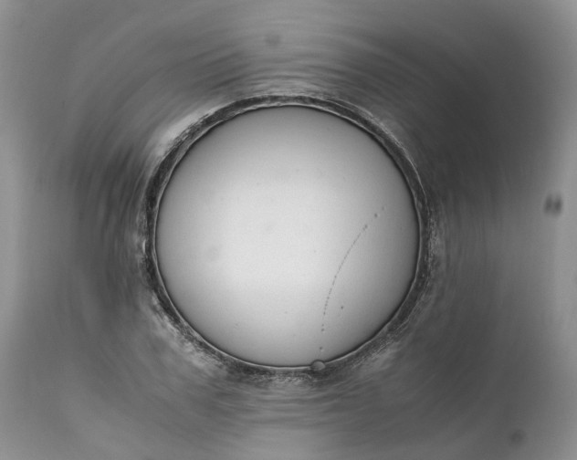 X0000111390979200907241330