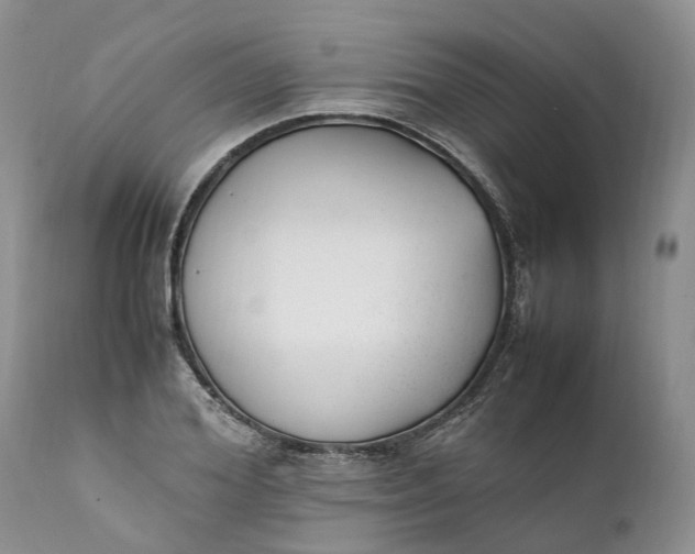 X0000111390980200907241330