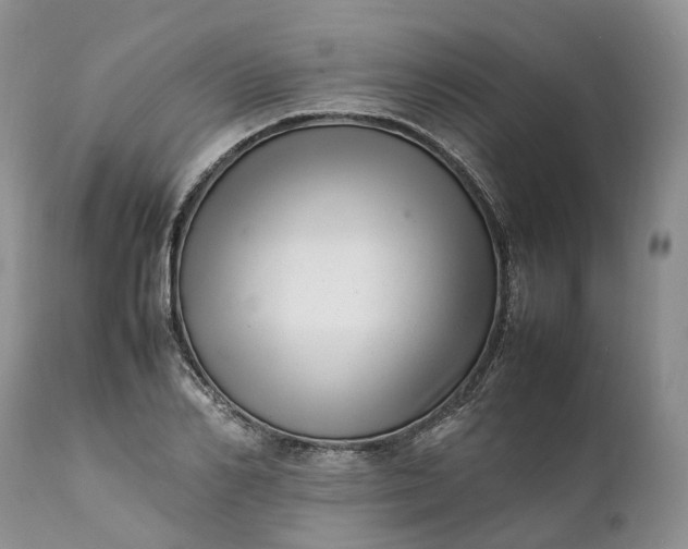 X0000111390982200907241330