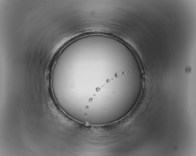 X0000111390983200907241330