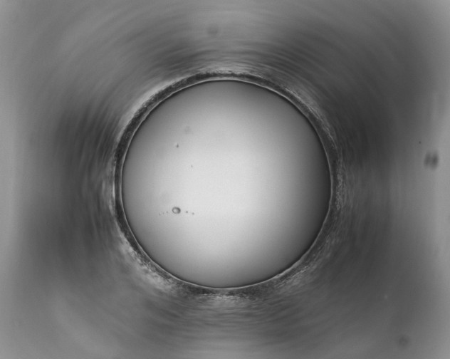 X0000111390984200907241330