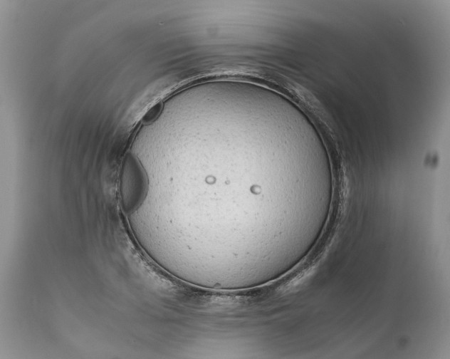 X0000111390985200907241330