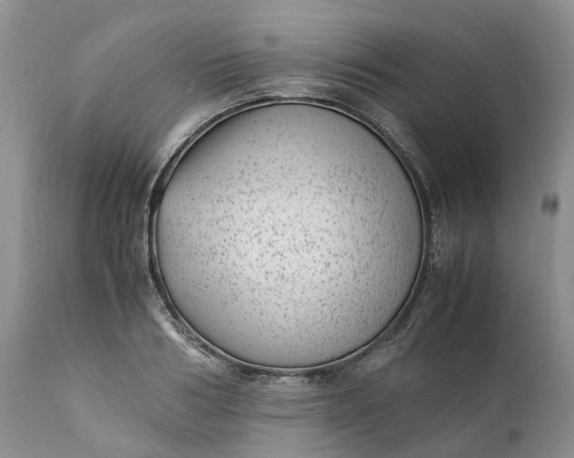 X0000111390986200907241330