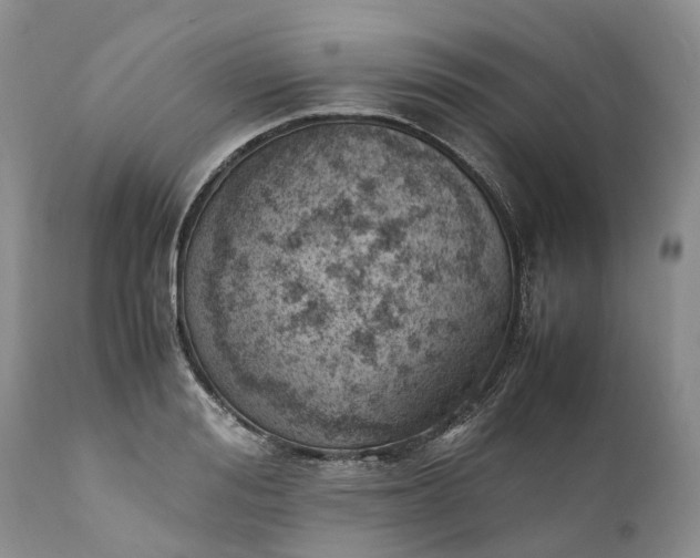 X0000111390988200907241330