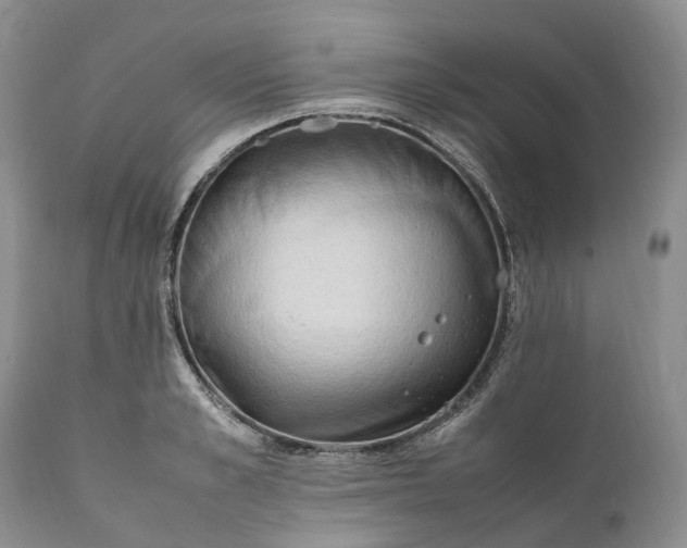 X0000111390989200907241330