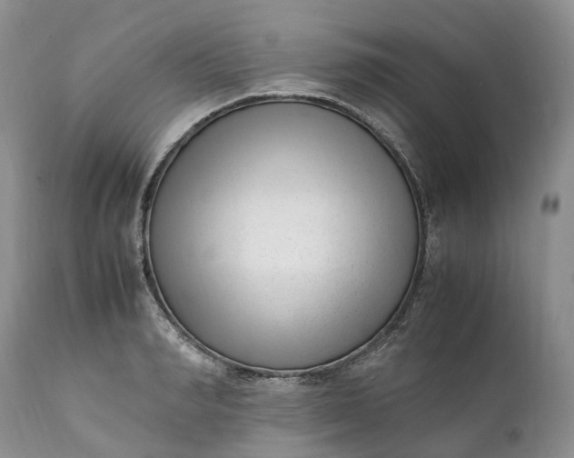 X0000111390990200907241330