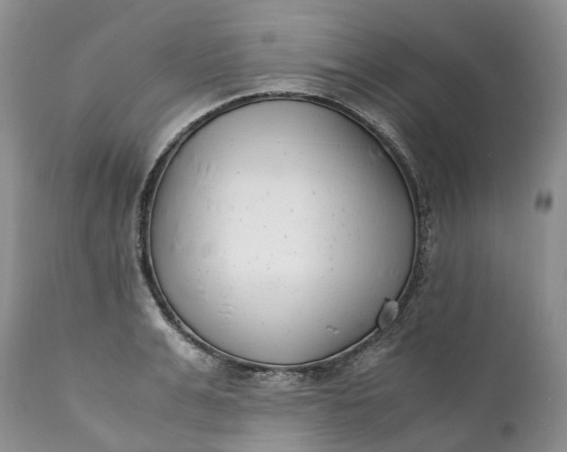 X0000111390991200907241330