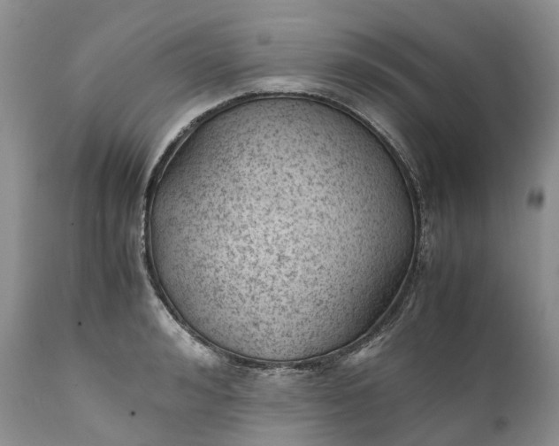 X0000111390992200907241330