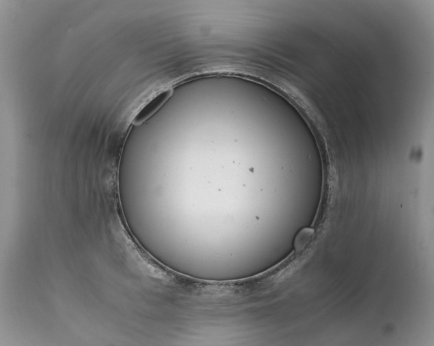 X0000111390993200907241330