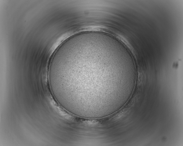 X0000111390994200907241329