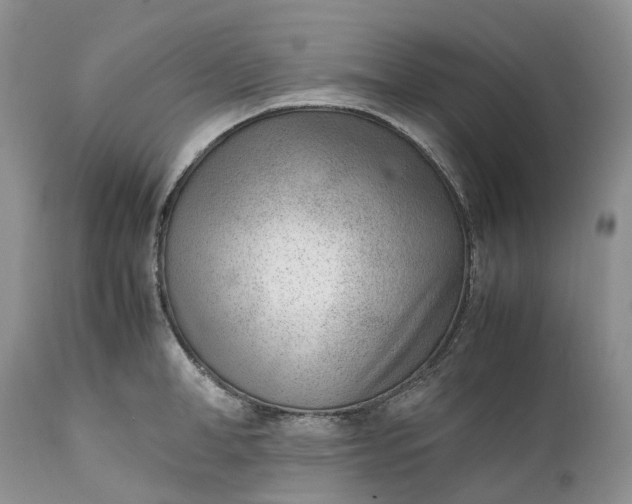 X0000111390998200907241329