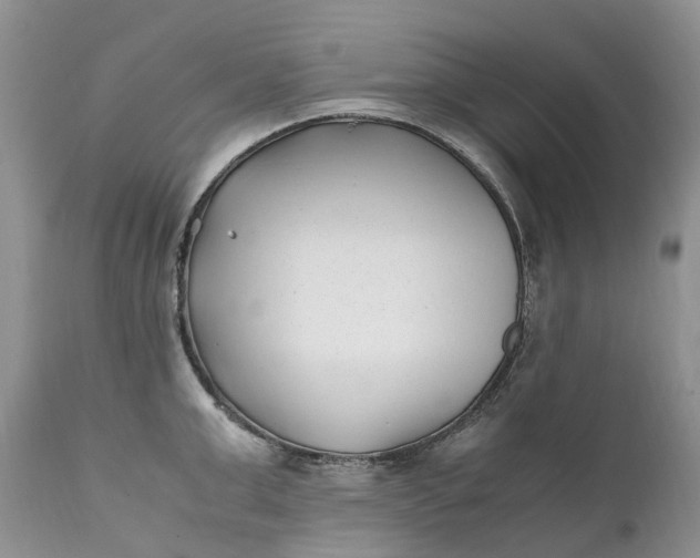 X0000111390999200907241329