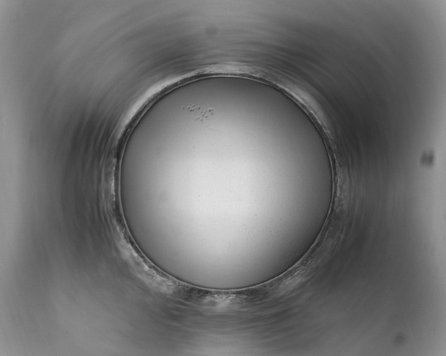 X0000111391000200907241329