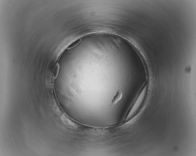 X0000111391001200907241329