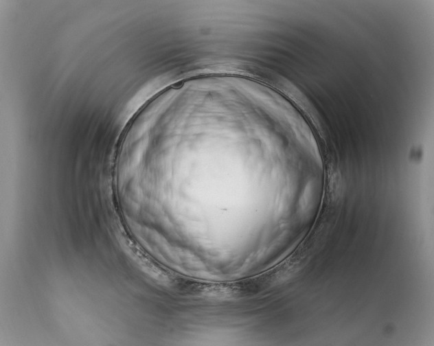 X0000111391002200907241329