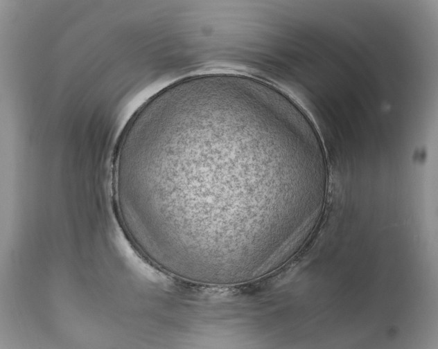 X0000111391003200907241329