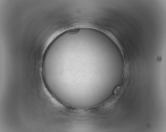 X0000111391005200907241329