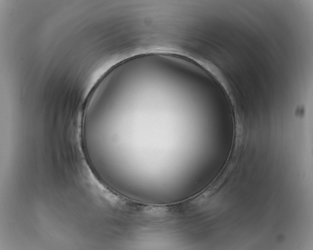 X0000111391006200907241329