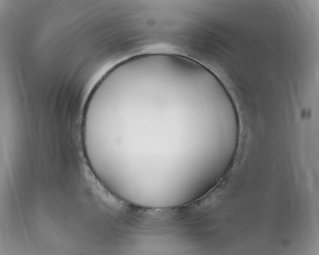 X0000111391008200907241329