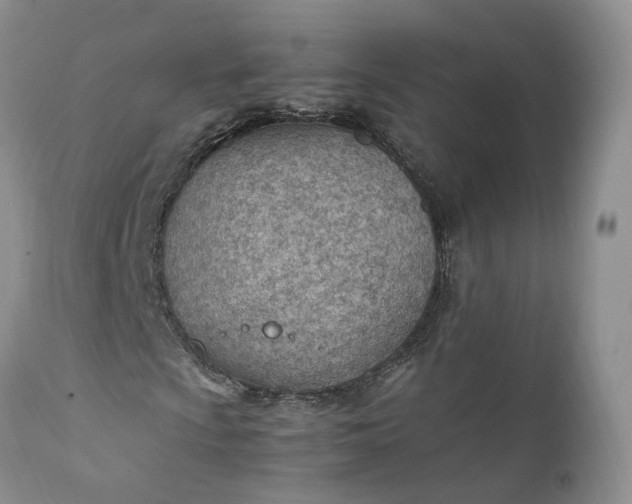 X0000111391009200907241329