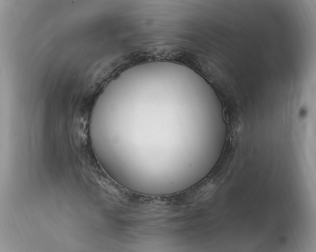 X0000111391010200907241329