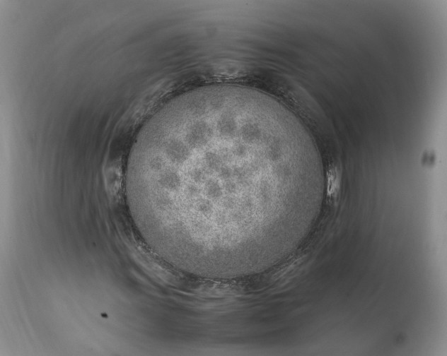 X0000111391011200907241329