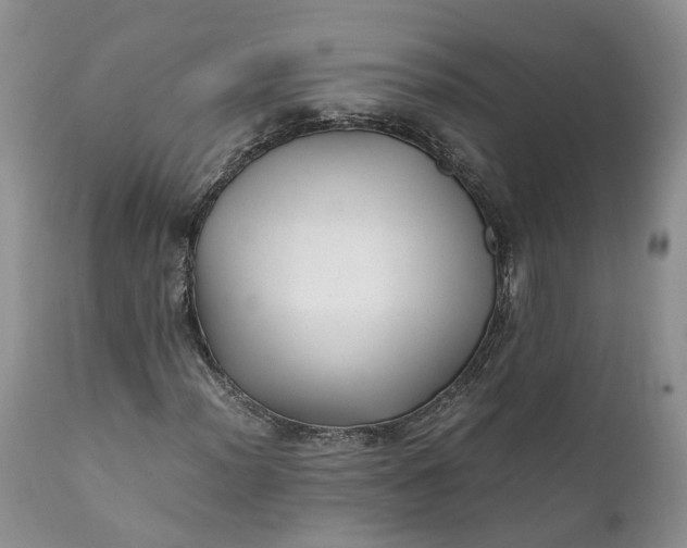 X0000111391012200907241329