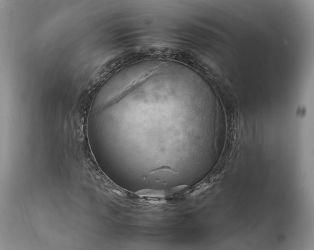 X0000111391013200907241329