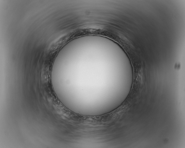 X0000111391014200907241329