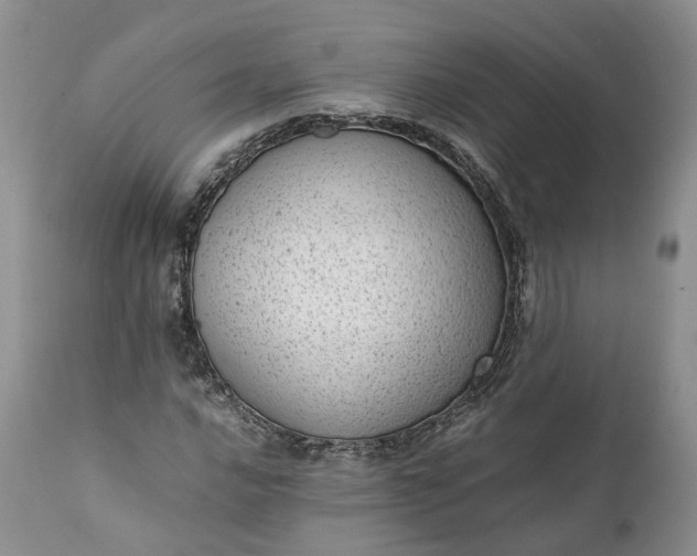 X0000111391016200907241329