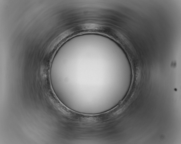 X0000111391017200907241329