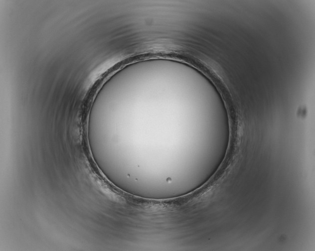 X0000111391018200907241329