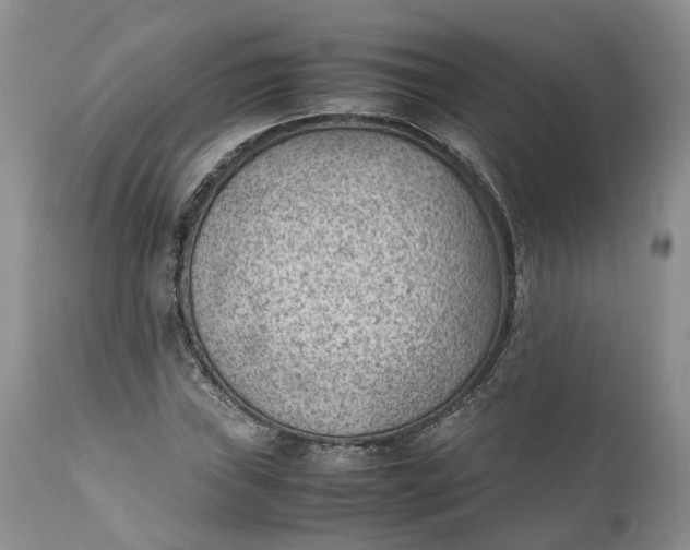 X0000111391019200907241329