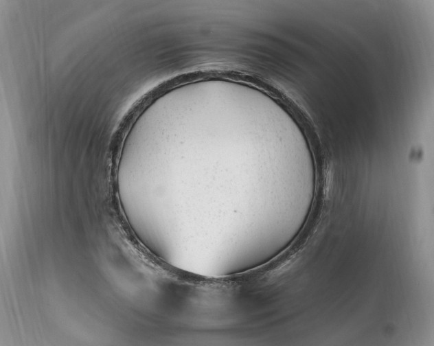 X0000111391021200907241329