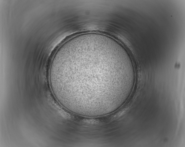 X0000111391023200907241329