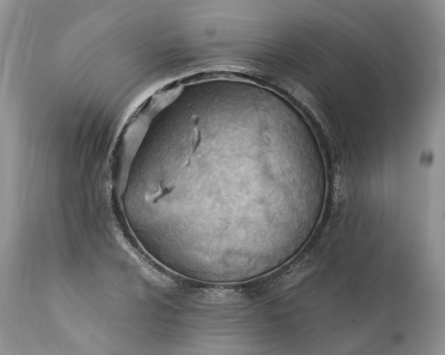 X0000111391024200907241329